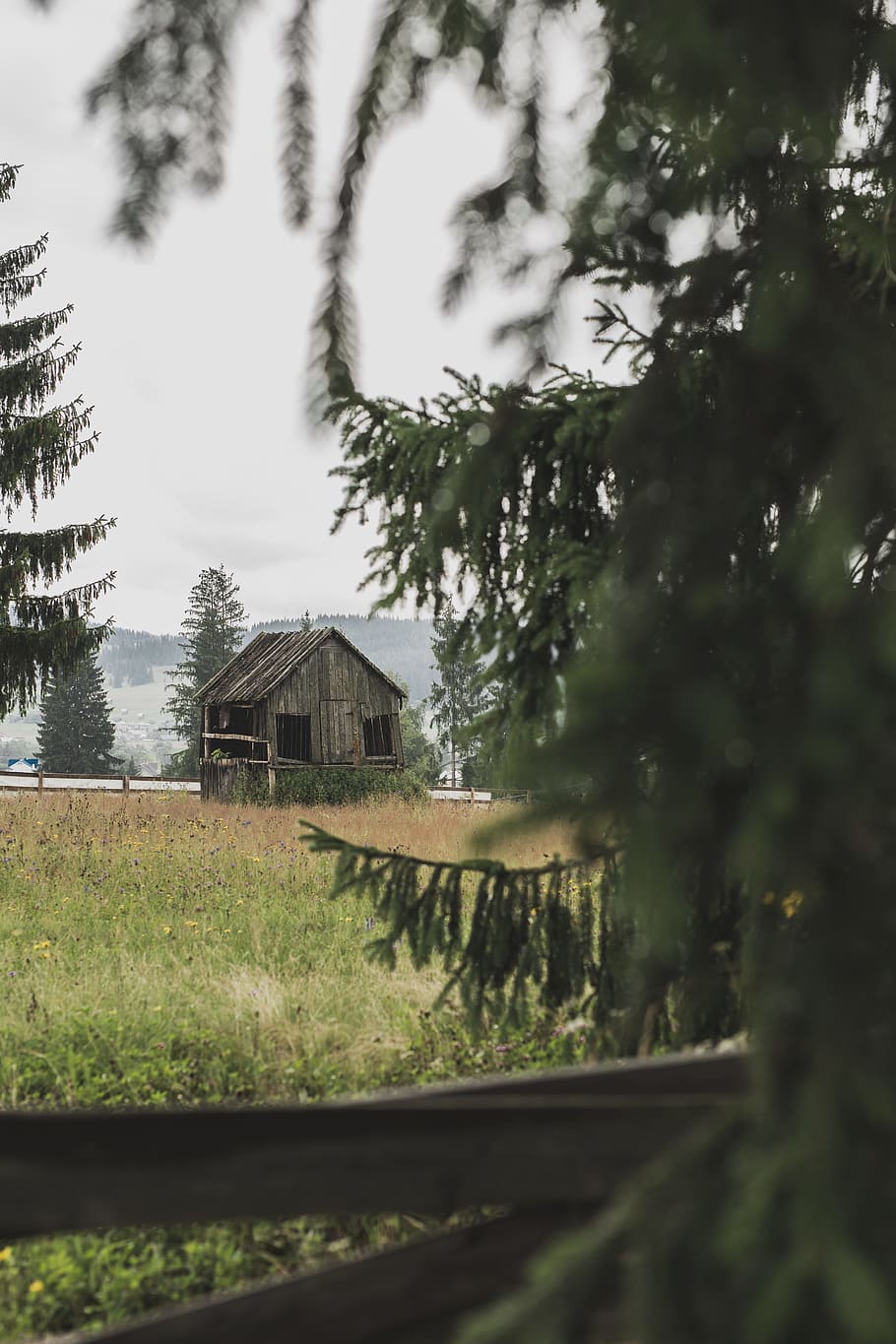 shallow focos photo of brown wooden house surrounded by trees HD wallpaper