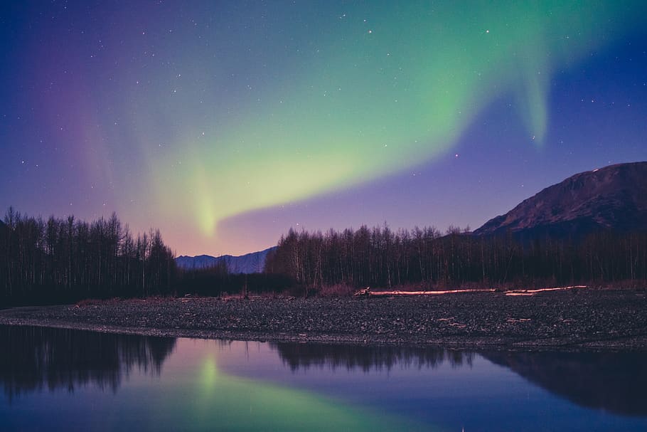 northern lights, aurora, nature, night, outdoors, portage, sky HD wallpaper