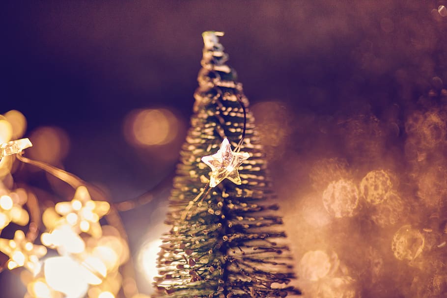 green Christmas tree, holiday, close-up, nature, no people, decoration HD wallpaper