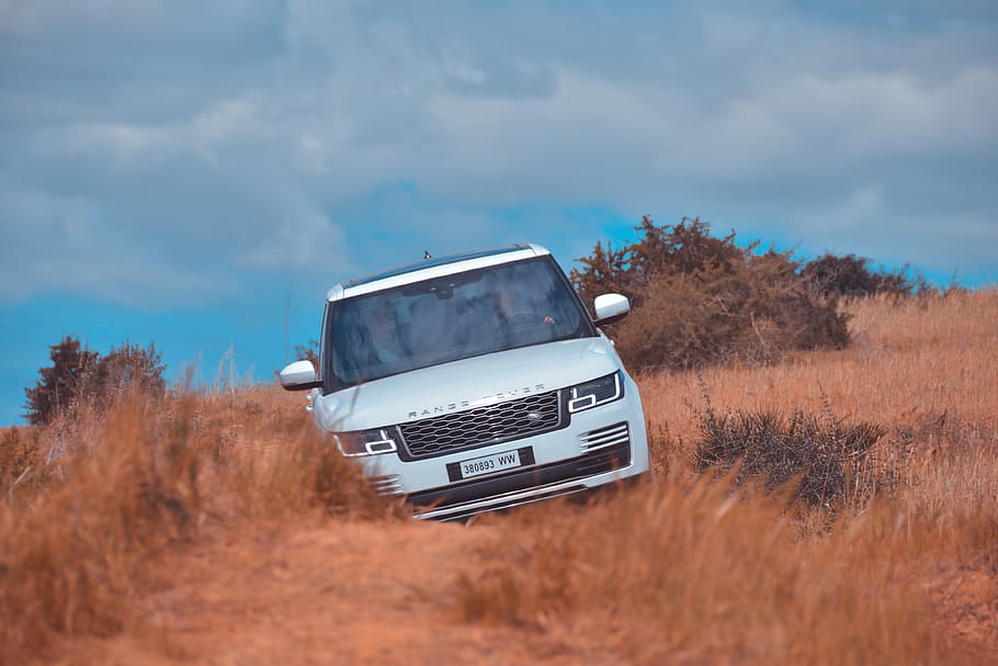 silver Range Rover SUV, vehicle, car, transportation, automobile, HD wallpaper