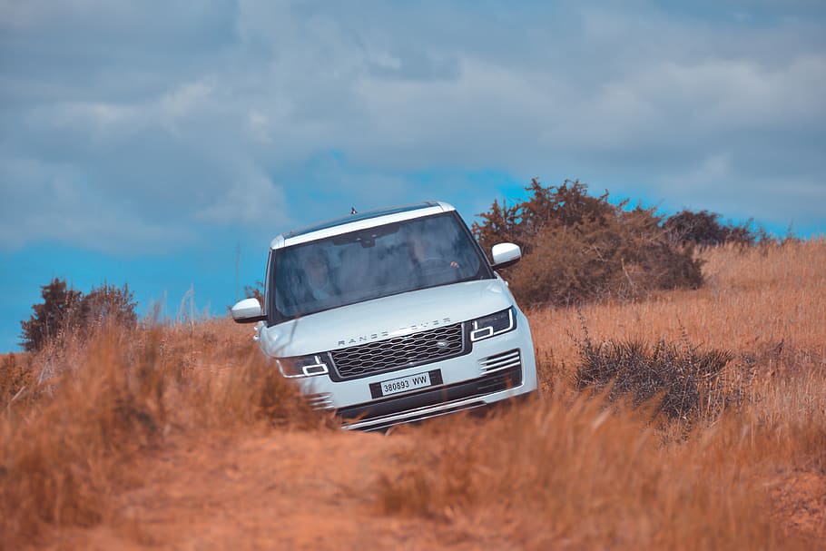 silver Range Rover SUV, vehicle, car, transportation, automobile HD wallpaper