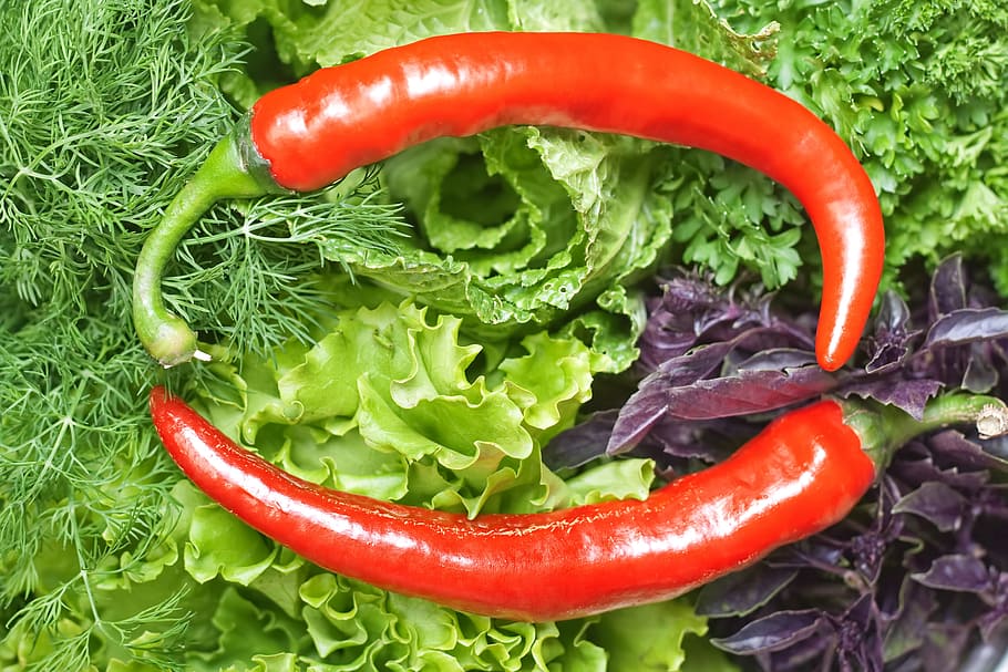 chili, pepper, red, peppers, background, hot, mexican, fresh HD wallpaper