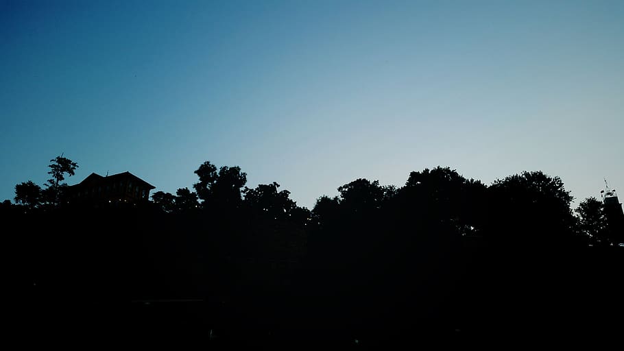 trees, sky, home, blue, plant, silhouette, copy space, growth HD wallpaper
