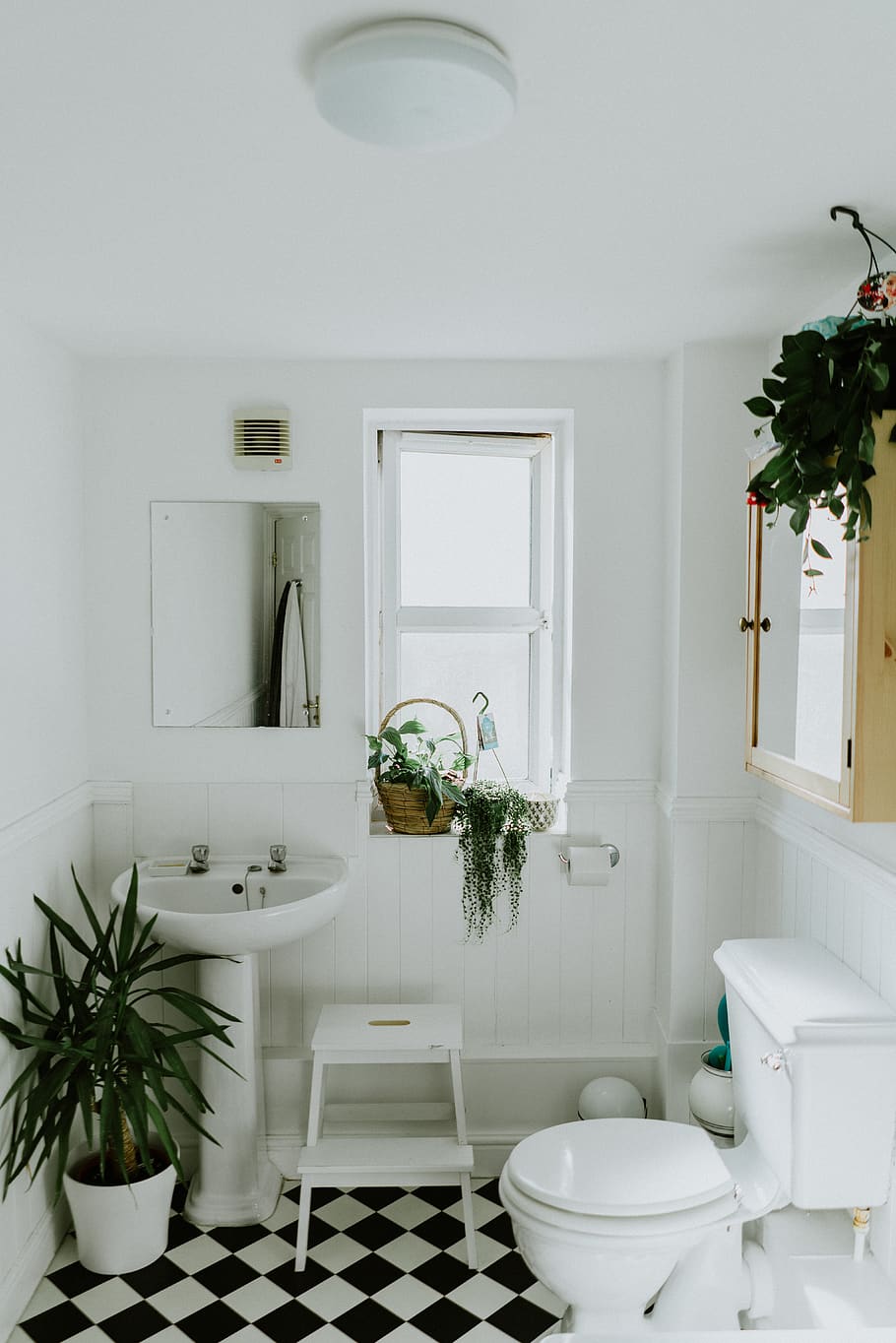 white ceramic pedestal sink, indoors, domestic room, plant, home interior, HD wallpaper
