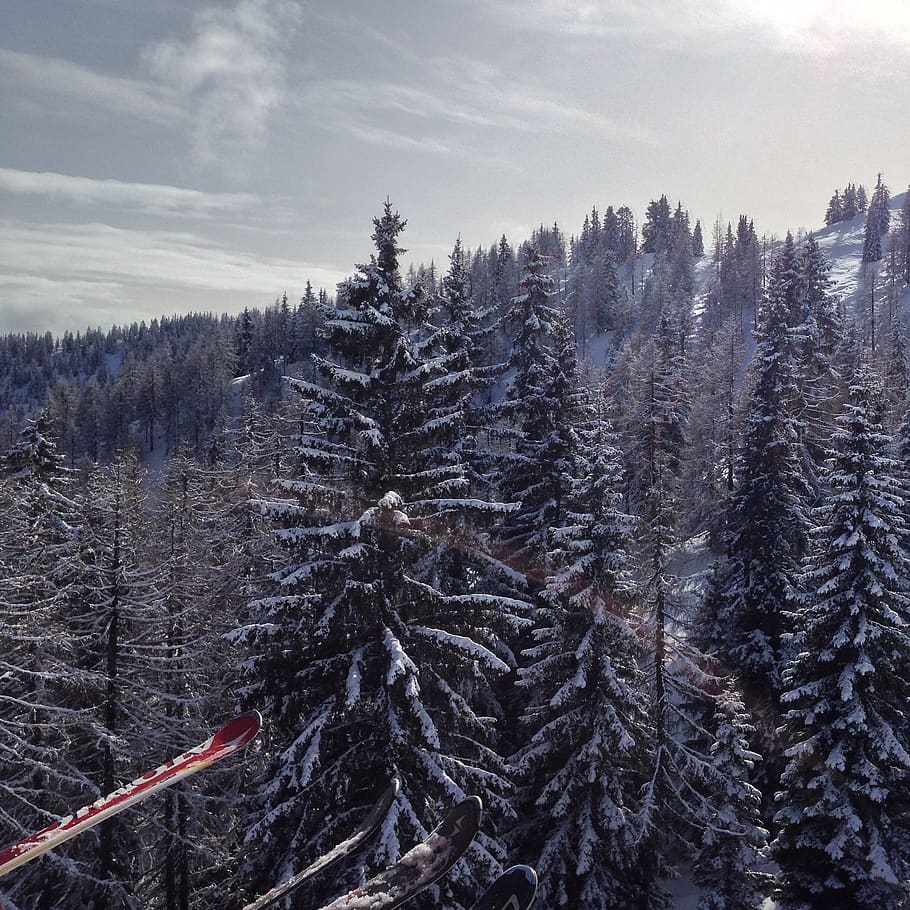 ski, ski lift, skiing, tree, plant, winter, cold temperature HD wallpaper