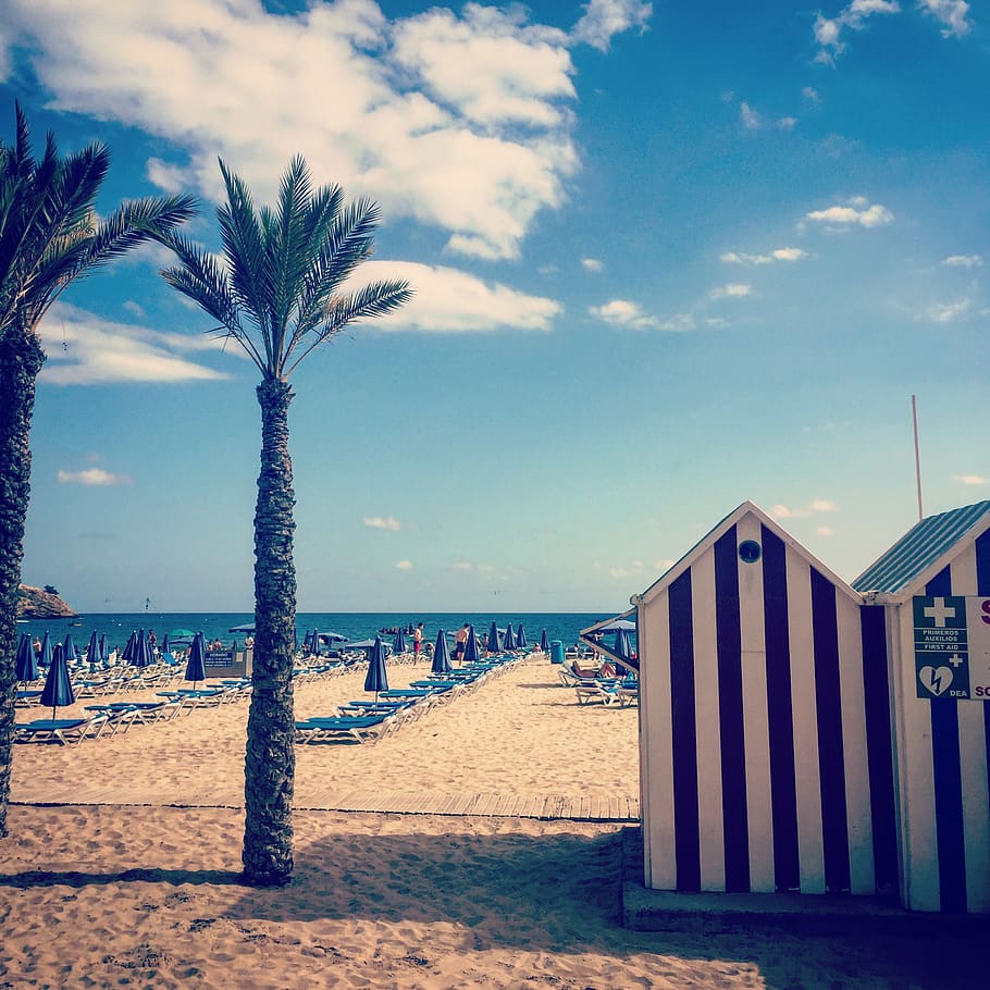 spain, benidorm, beach, sky, land, cloud - sky, tree, tropical climate HD wallpaper