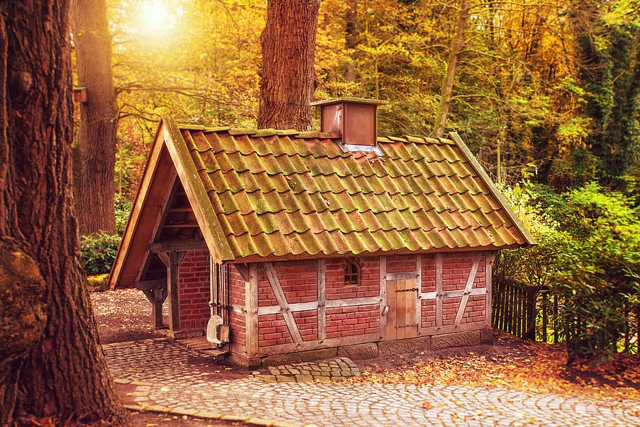 forest, trees, house, backhaus, historically, old, romantic HD wallpaper