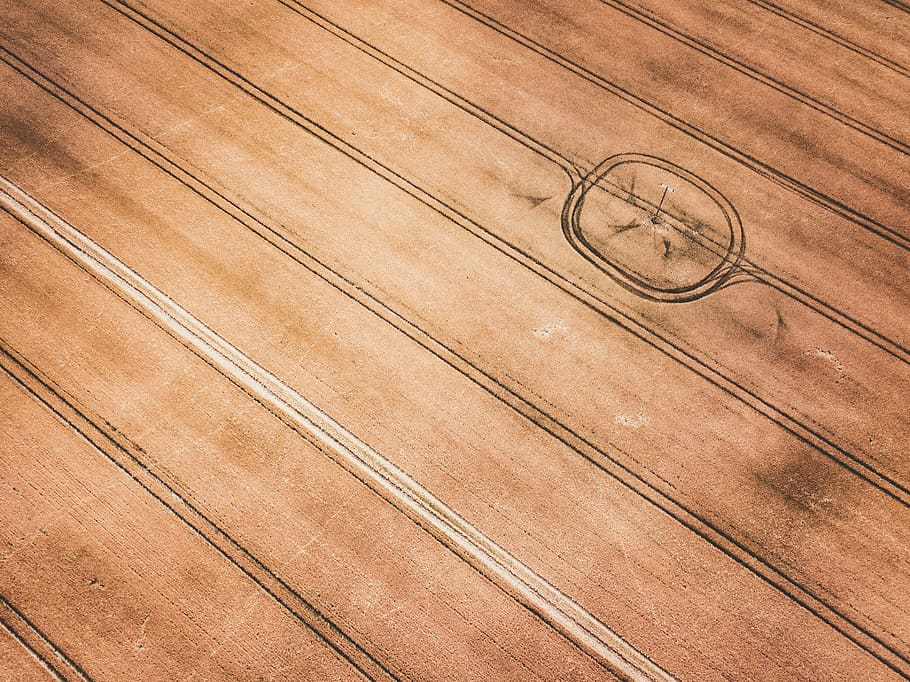 brown surface, wood, hardwood, furniture, plant, grass, flora HD wallpaper