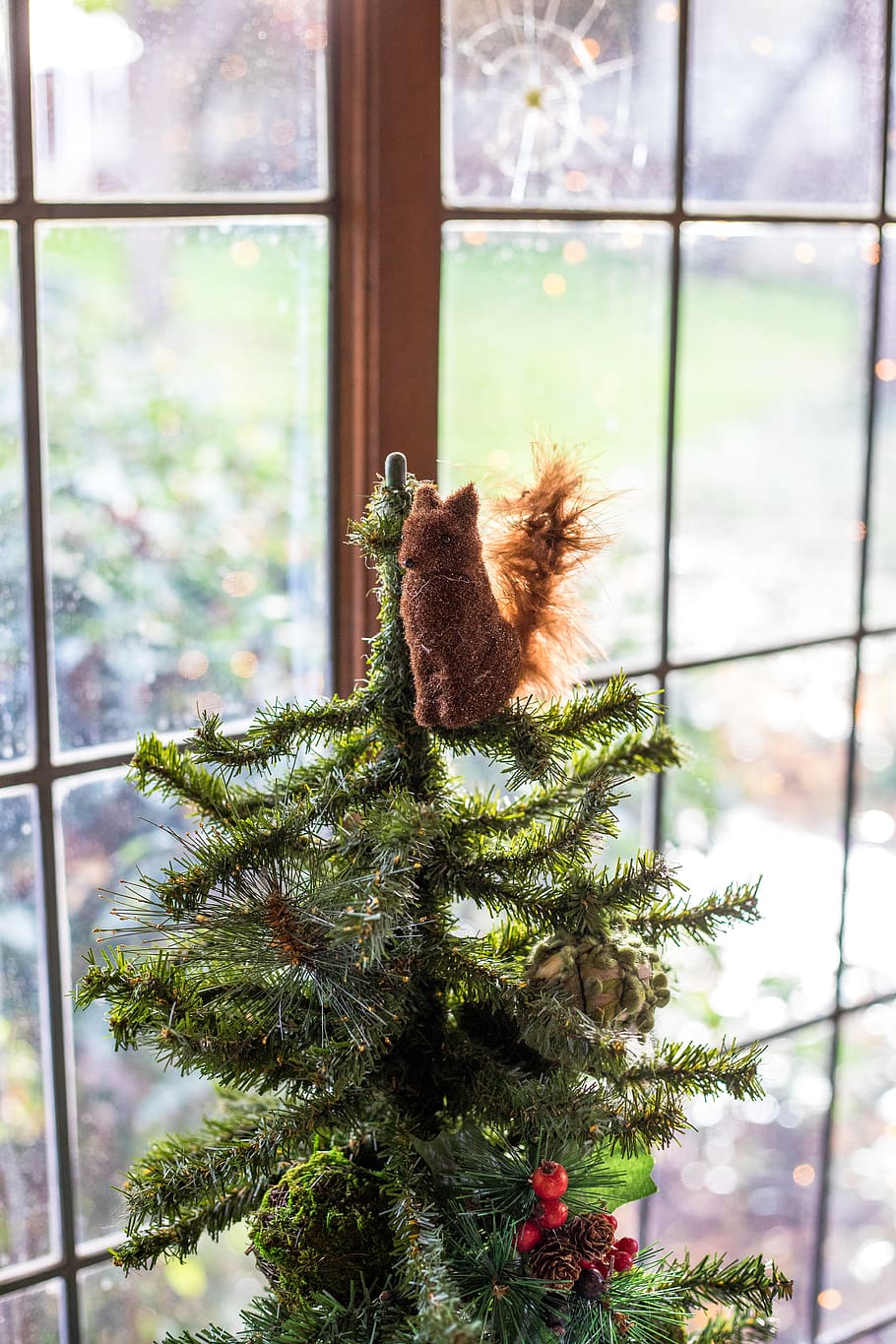 brown animal plush toy on green pine tree decoration, plant, ornament, HD wallpaper