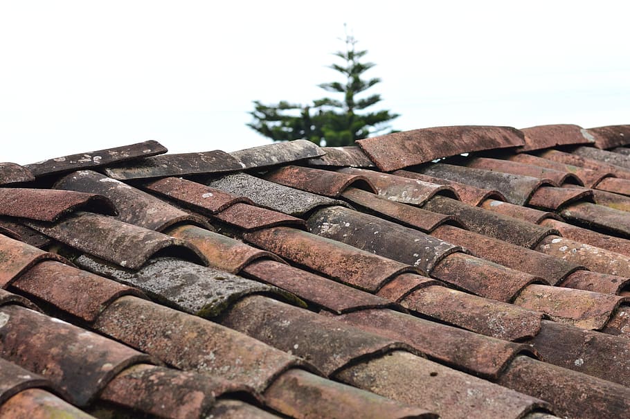 sky, tree, pattern, old, house, traditional, tile, roof, construction HD wallpaper