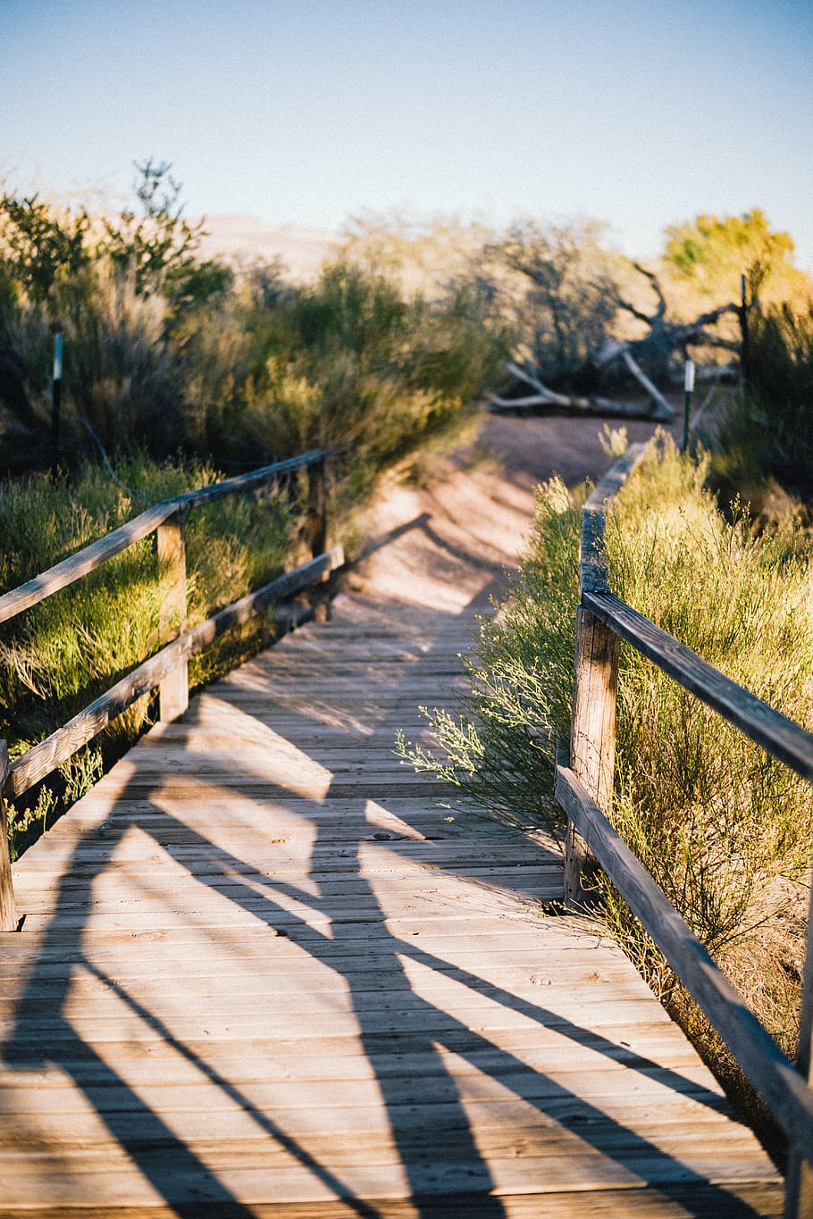 empty footbridge, sunlight, nature, shadow, footpath, railing HD wallpaper