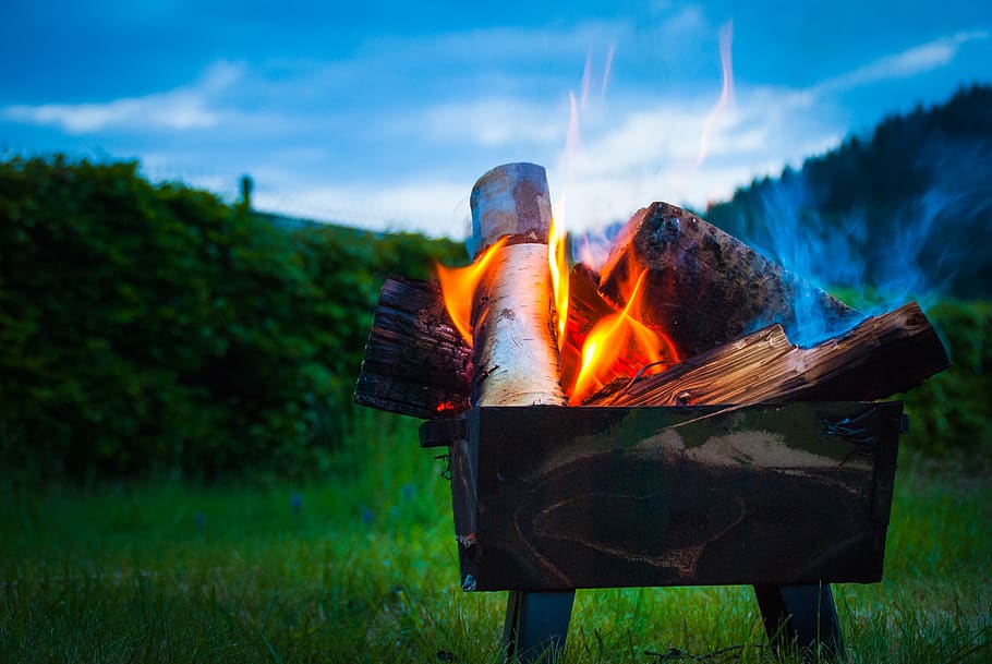 brown firewood with fire, france, flame, camping, campfire, bonfire