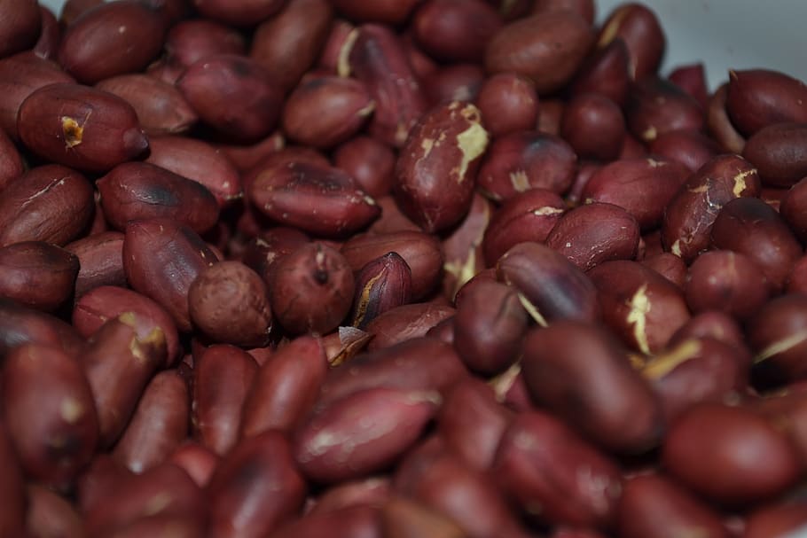 peanuts, walnut, nutrition, appetizer, healthy, fresh, delicious HD wallpaper