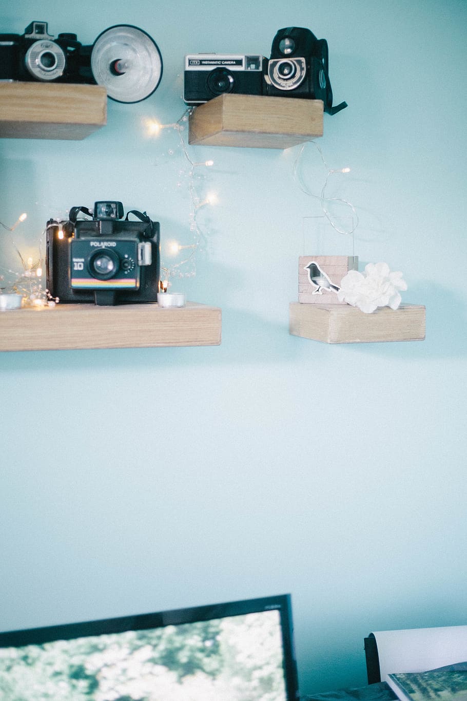 camera, retro, bird, flowers, lights, blue, office, pc, workspace HD wallpaper