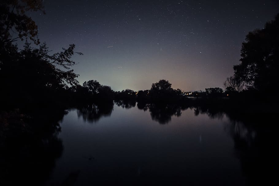 Silhouette of Trees Near Body of Water, 4k wallpaper, backlit HD wallpaper