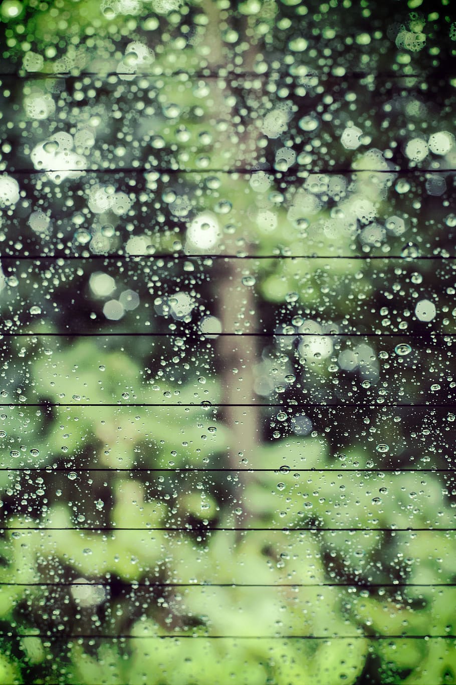 rain, window, glass, green, forest, car, abstract, wet, water HD wallpaper
