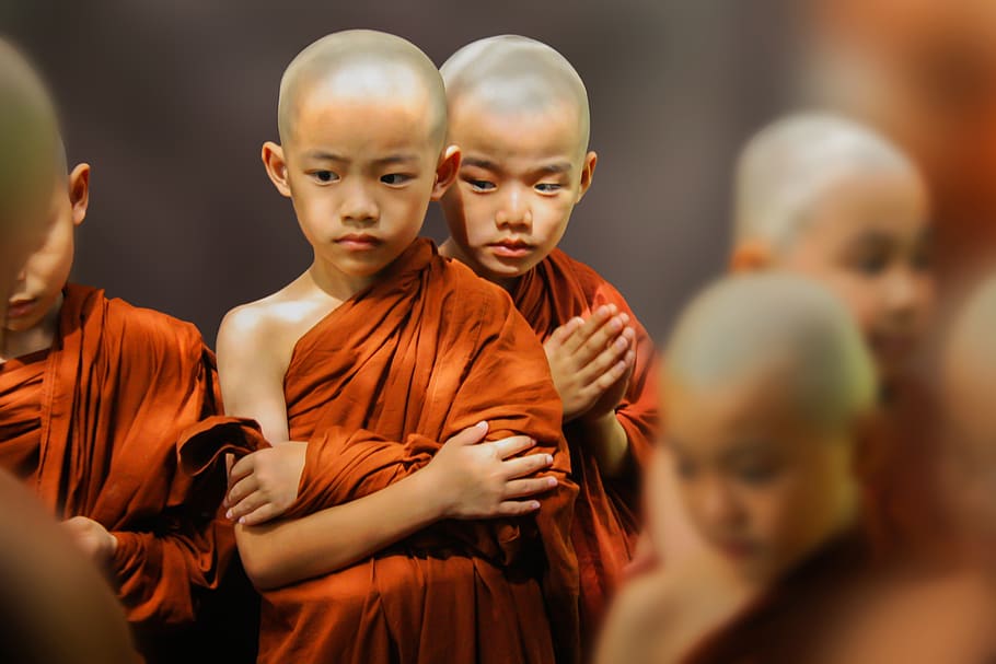Three Boy in Orange Suits, bald, blur, Buddhism, child, children HD wallpaper