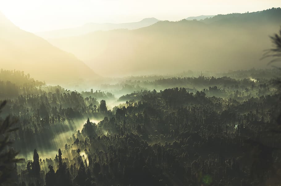 nature, landscape, mountain, clouds, sky, sun, trees, forest HD wallpaper