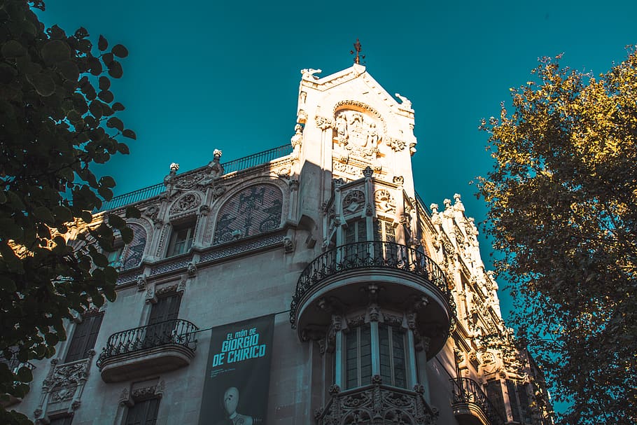 palma, spain, tree, trees, sky, architecture, blue, old, city HD wallpaper