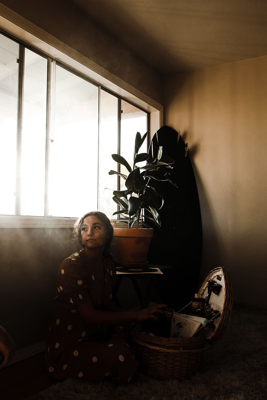 woman sitting beside window, interior, sunlight, plant, spot HD wallpaper