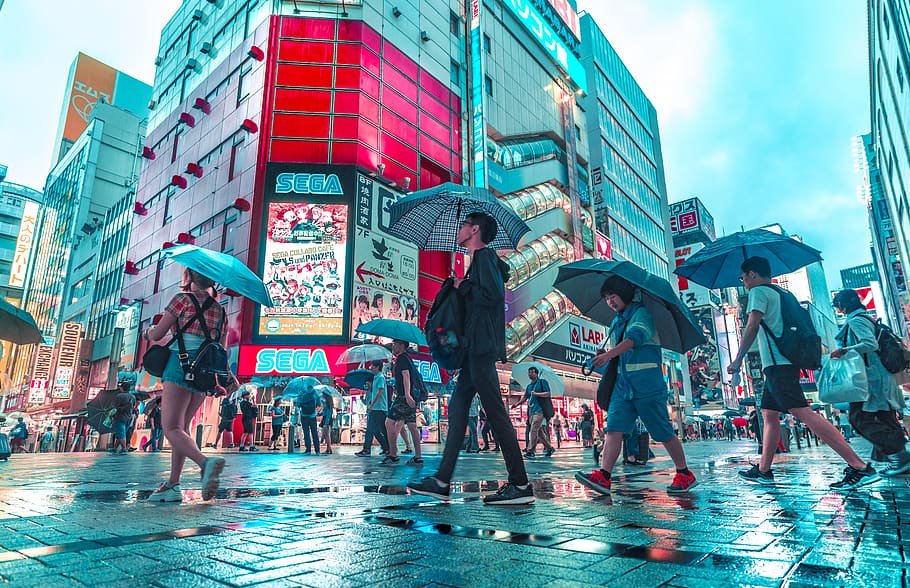 people holding umbrella while walking at the street, human, person