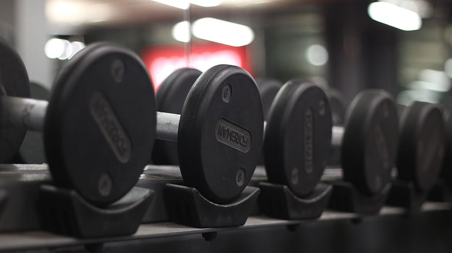 weights, gym, dumbbell, indoors, industry, focus on foreground HD wallpaper
