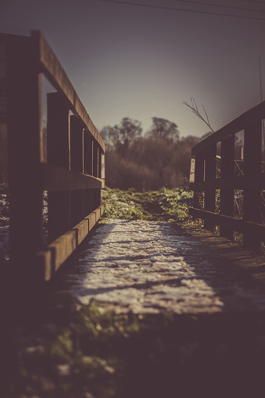 Focus Photography of Bridge Facing Tall Trees, abandoned, architecture HD wallpaper