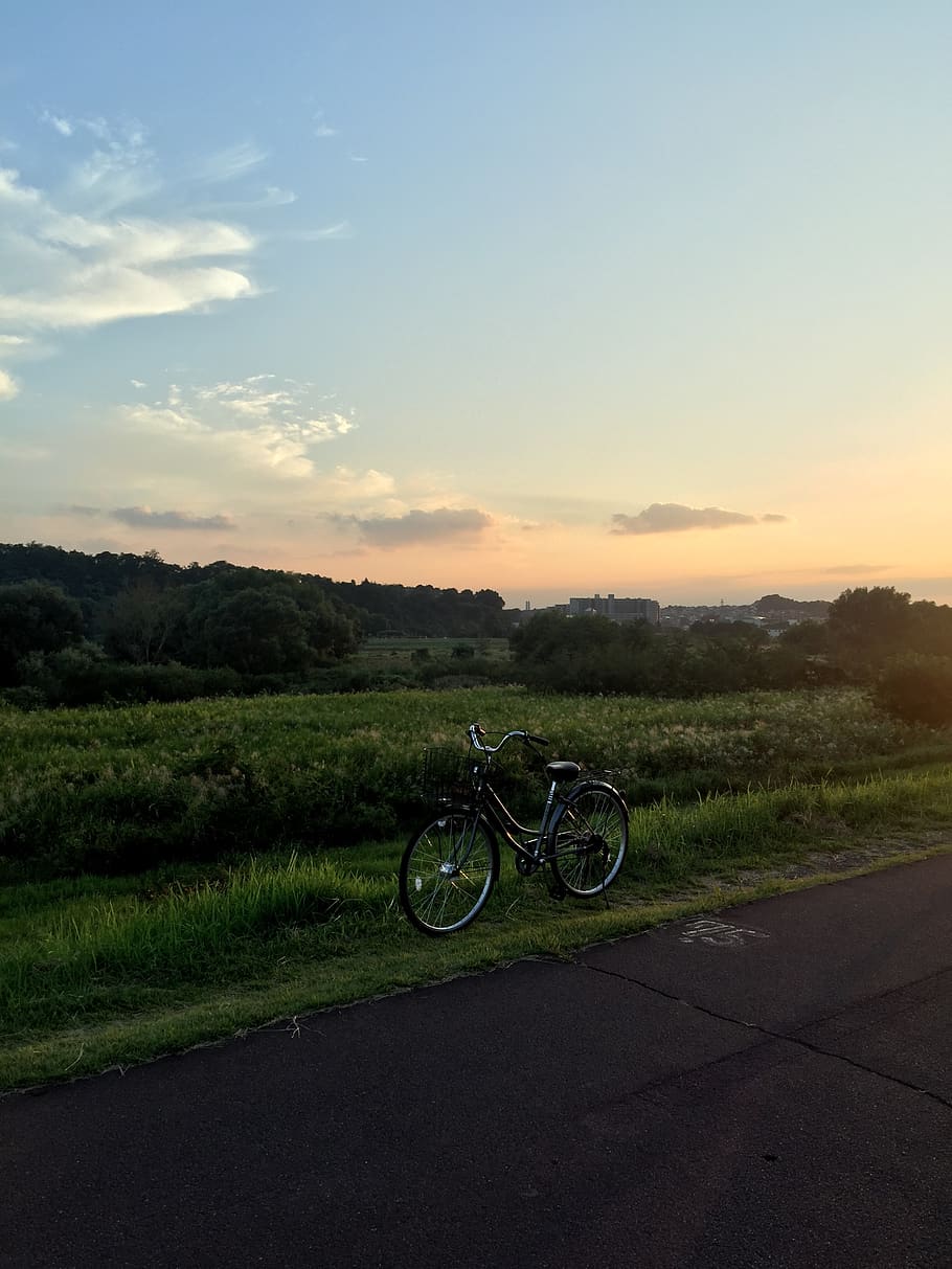日本, 府中市, sunset, bicycle, field, grass, road, sky HD wallpaper