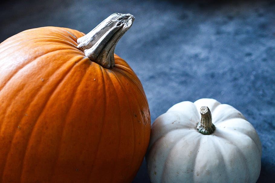 pumpkin, halloween, orange, food and drink, vegetable, healthy eating HD wallpaper