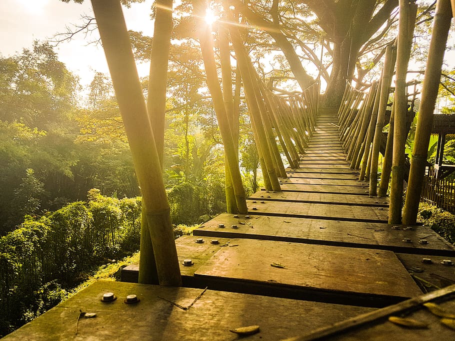 Brown Wooden Bridge Under Blue Sky, dawn, daylight, environment HD wallpaper
