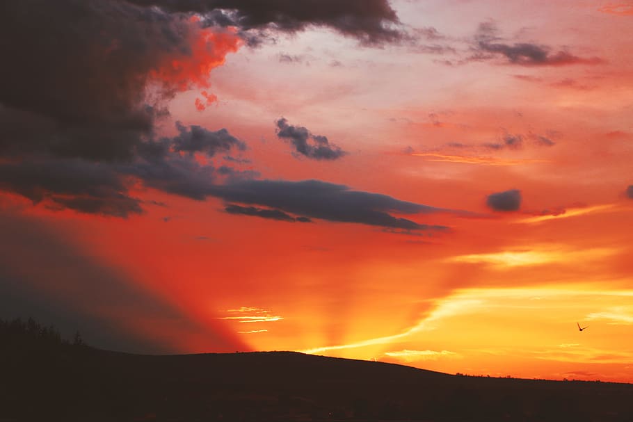 Photography of Sunset, backlit, beautiful, clouds, dark, dawn HD wallpaper