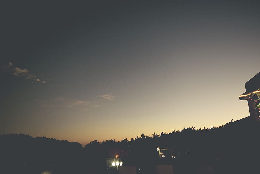 tree, sunset, sky, silhouette, architecture, built structure HD wallpaper