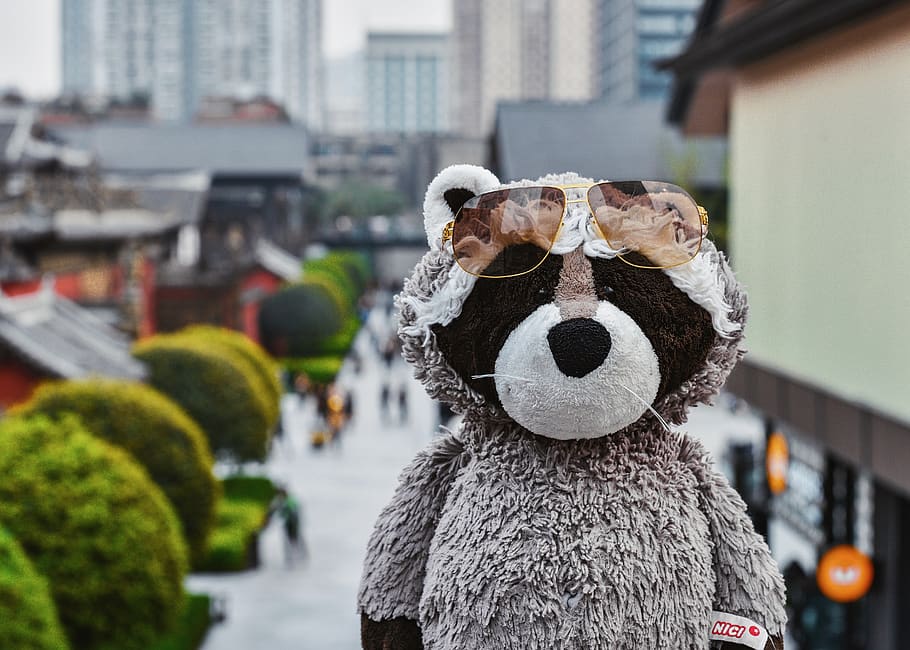 gray and black bear, toy, teddy bear, apparel, clothing, building HD wallpaper