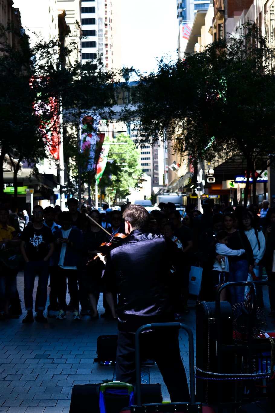 audience, performance, street, spotlight, violin, center, crowd HD wallpaper
