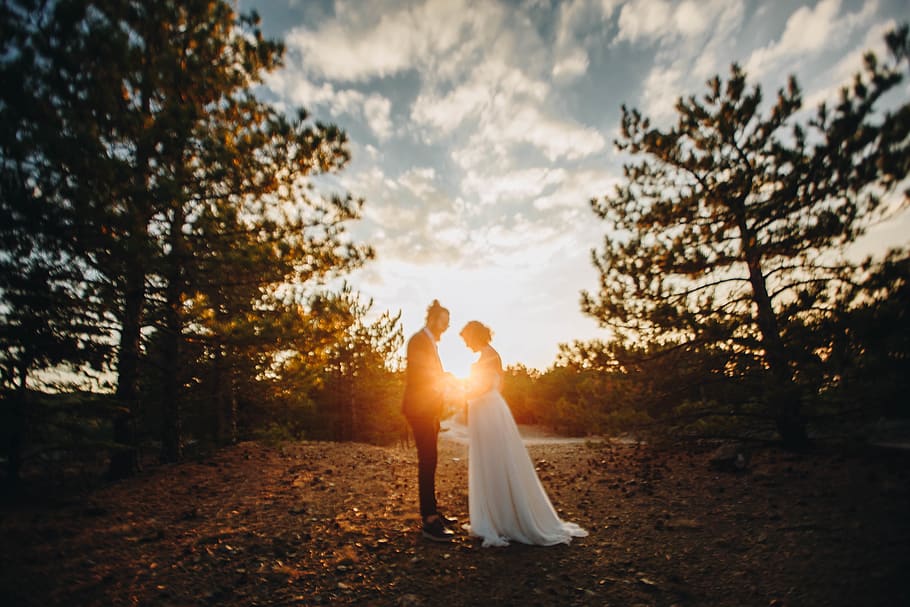 standing newly wed couple near trees during golden hour, wedding, HD wallpaper