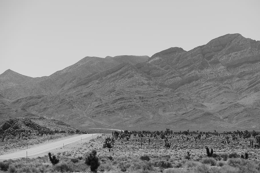 desert, road, black, white, landscape, travel, highway, outdoors HD wallpaper