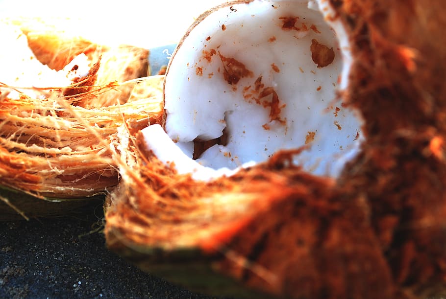 coconut, food and drink, close-up, no people, still life, freshness HD wallpaper