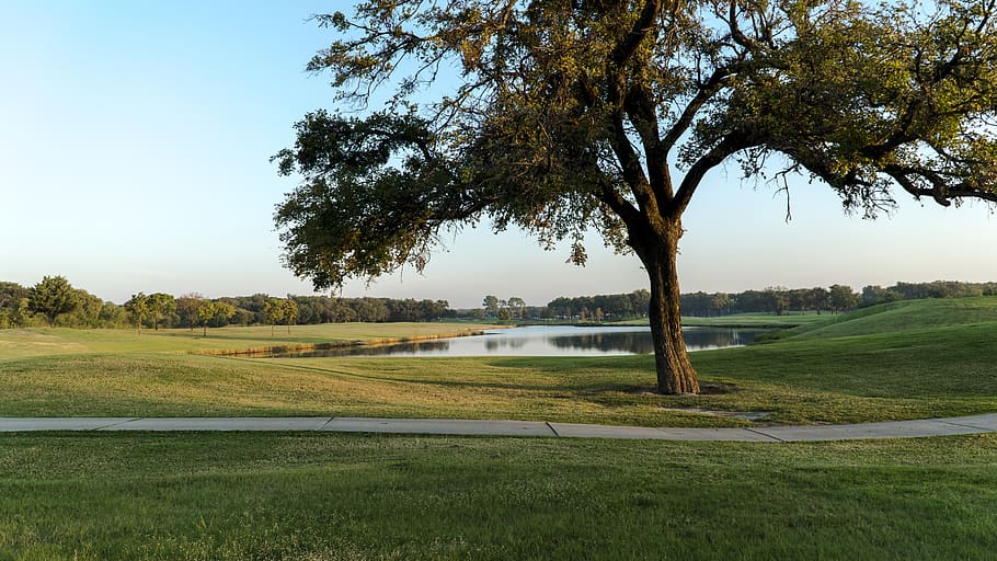 golf, golf course, golfing, green, grass, field, golfers, nature HD wallpaper
