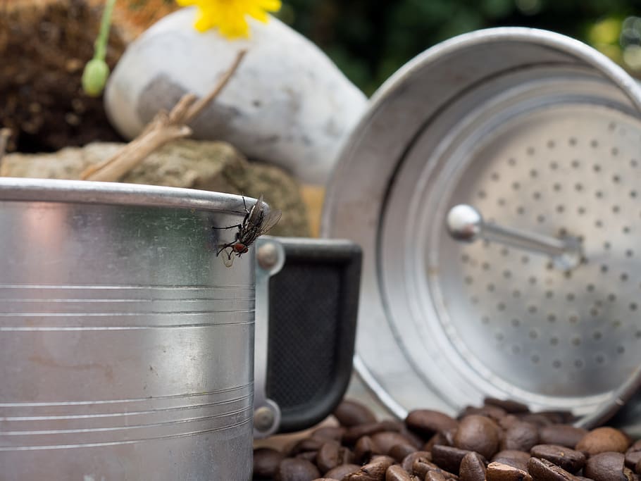 coffee, camping coffee, coffee maker, fly, outdoors, no people HD wallpaper