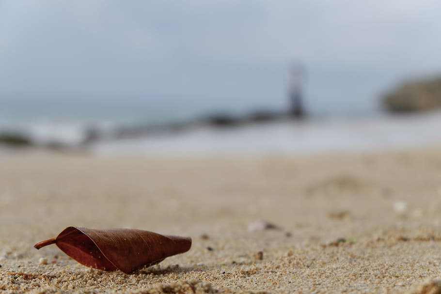 On the seashore