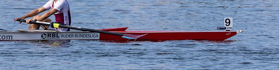sport, regatta, rowing, roller coaster, boat, leisure, belt HD wallpaper