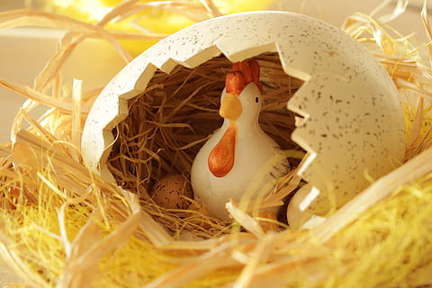 easter theme, figure, chicken, ceramic, sitting, easter eggs HD wallpaper