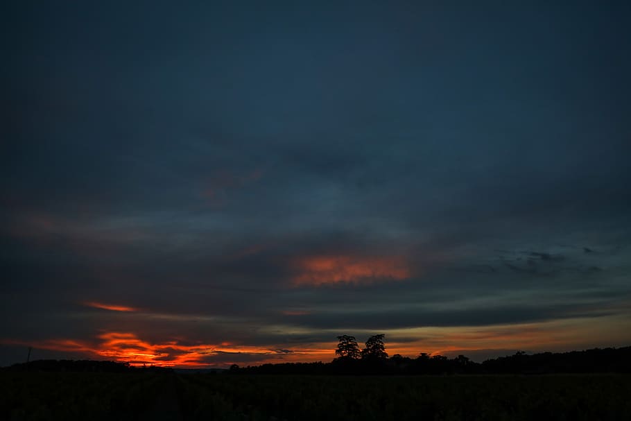 forest, landscape, trees, sunset, redsky, clouds, cloud - sky HD wallpaper