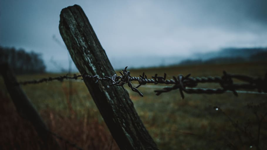 black bob wires, wallpaper, fence, countryside, blue, field, sky HD wallpaper