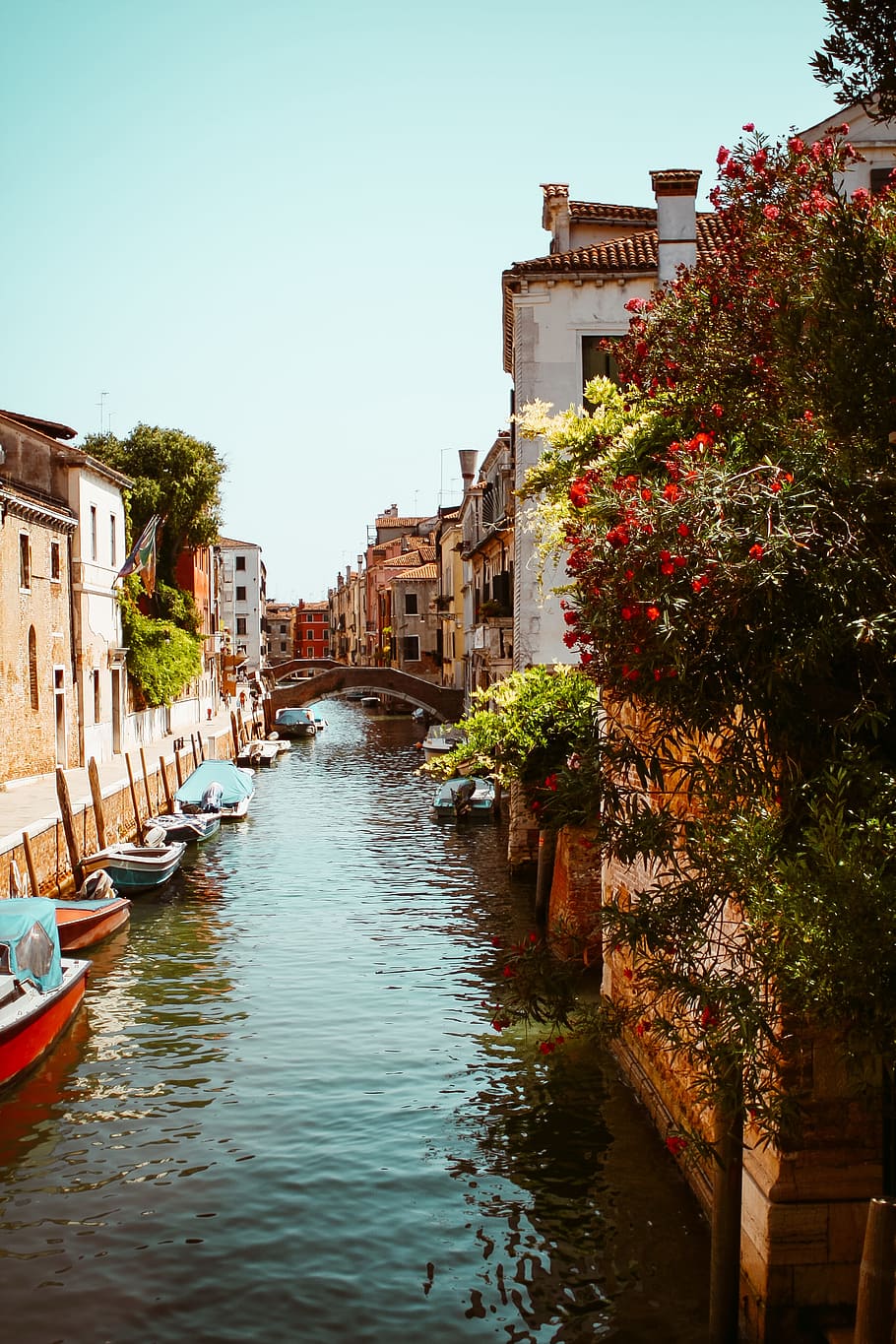 Venice Canals, Italy, architecture, boats, city, europe, flowers