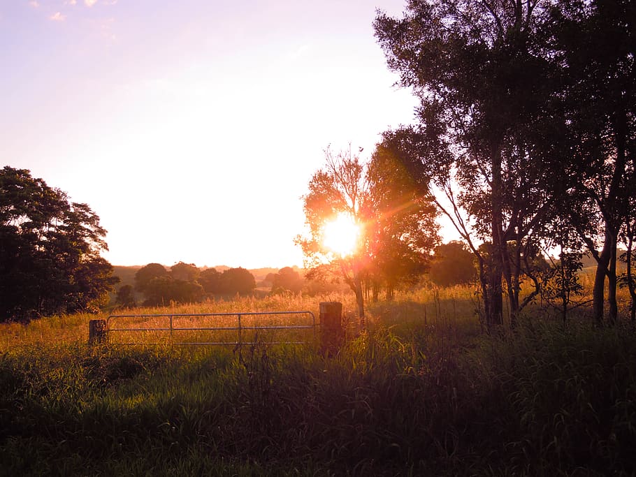 australia, byron bay, sun, summer, sunset, background, view, HD wallpaper