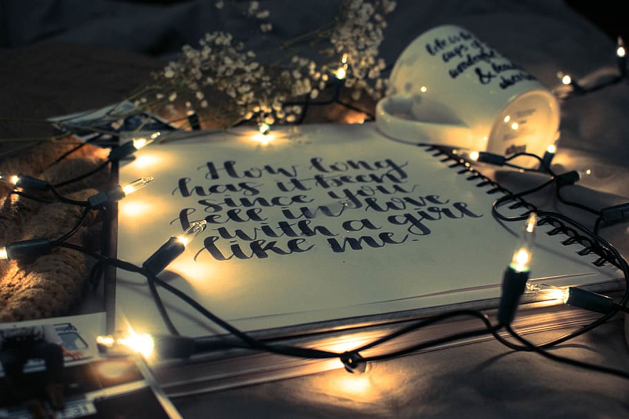 canada, waterloo, art, calligraphy, flowers, cofffee, illuminated HD wallpaper