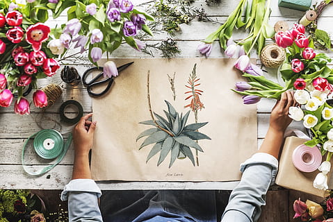 arrangement, art, craft, creative, decoration, design, empty HD wallpaper