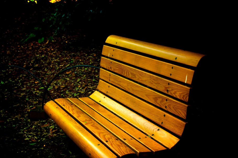 japan, shinjuku-ku, shinjuku gyoen national garden, bench, wood - material, HD wallpaper