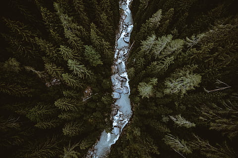 bird's-eye view of river in between trees, stream, rock, forest HD wallpaper